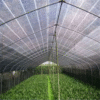 Jaring Paranet 75% ECERAN (LEBAR 3M) Jaring Peneduh - ANTI UV