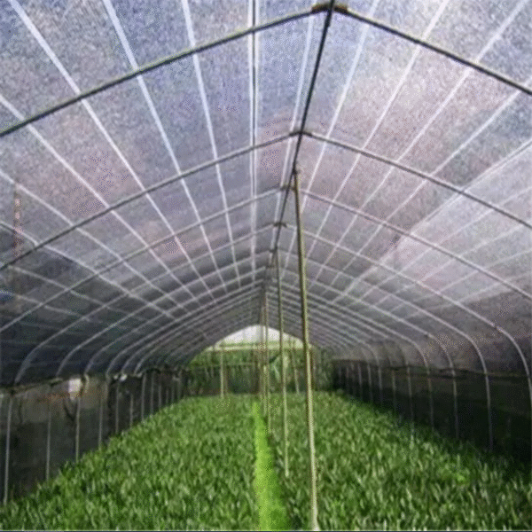 Jaring Paranet 75% ECERAN (LEBAR 3M) Jaring Peneduh - ANTI UV