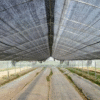 Jaring Paranet 90% Grade A Lebar 3 Meter (Eceran) Anti Hama